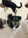 daycare pic 38 - TJ